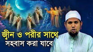 জ্বীন ও পরীর সাথে শারীরিক সম্পর্ক করা যাবে?  মুফতি শামসুলহক হানিফি