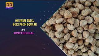 Agriculture Programme | On Farm Trial Bori From Squash at KVK Thoubal & Farm Mechanization