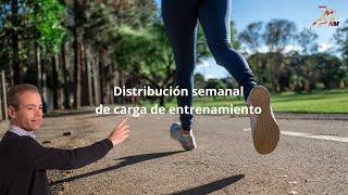 Distribución semanal de carga de entrenamiento