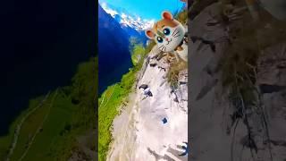 How he spins and flipps at cliff before wingsuitting #wingsuitflying #cliffjump #switzerland