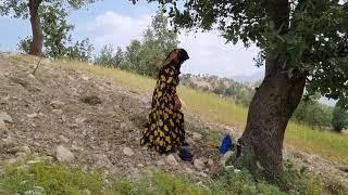 Nomadic Mother and Son Working on Agricultural Land to Make Money / Documentary