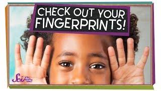 See Your Own Fingerprints!