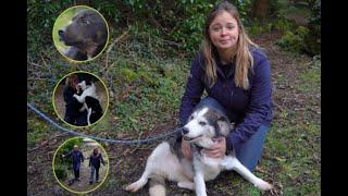 Daniel Considine from Shannonside FM visits ISPCA headquarters in Co  Longford