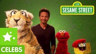 Sesame Street: Benjamin Bratt and Elmo translate for a Tiger