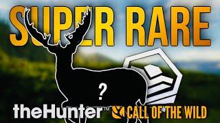 I Spawned Another SUPER RARE Fallow Deer After 21,000 Kills | Hypifed | theHunter : call of the wild