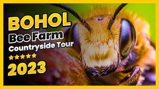 Bohol Bee Farm Tour | Full Bohol Countryside Tour | Bohol 2023