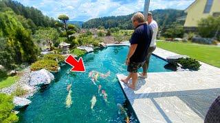 Amazing Fish Pond in the Swiss Alps (Pond Tour)