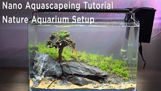 Nano Aquascaping Tutorial - Nature Aquarium Setup