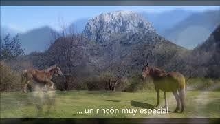 Parque Natural de Ponga, Asturias