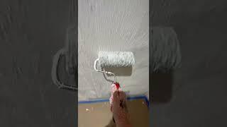 Roll on filler #satisfying #paintwarrior #youtube #ytshorts #viral