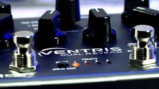 Spring Reverb Pedal: Ventris Dual Reverb