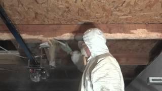 Holzschutzarbeiten: Frassgänge im Bereich einer Konstruktion (10)
