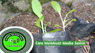 Cara Membuat Media Semai