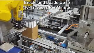 Robotic RSC Case Packer with Feeder for Medguide Booklets