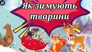 Як зимують тварини? Як готуються до зими. Лісові звірі взимку. Життя тварин зимою. Хто як зимує.