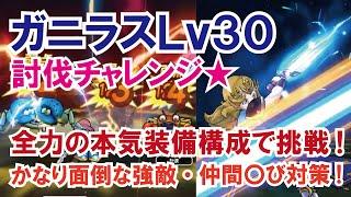 【ドラクエウォーク】#34・ガニラスLv30討伐チャレンジ!仲間呼びが厄介・・最強装備でチャレンジ「フォークチャンネル」