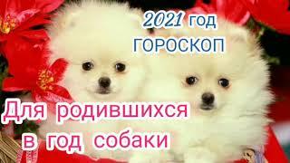 Гороскоп на 2021 год для родившихся в год собаки.