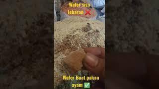 Jagung mahal  Ini bisa mengurangi...