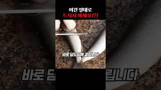 제발 이건 절대로 드시지 마세요
