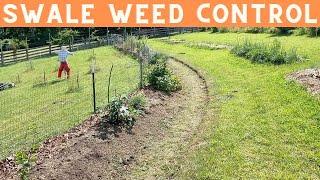 Controlling Weeds in and Around Permaculture Swales