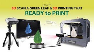 From Nature to Creation: 3D Scanning and Printing a Green Leaf