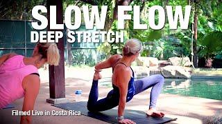 Slow Flow / Deep Stretch Yoga Class - from Costa Rica - Five Parks Yoga