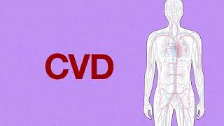 Cardiovascular disease (CVD): What is it? - Punjabi