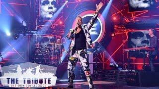 The Robbie Experience mit "Rock DJ" von Robbie Williams | The Tribute | SAT.1