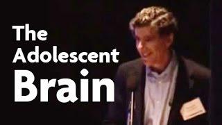 Dr. Richard Davidson: The Adolescent Brain