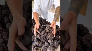 а вы знали об этом ? #трюфель #интересно #truffle #tartufo #гурман #факты