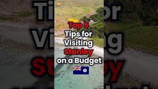 Stanley On A Shoestring: Top 5 Budget-Friendly Tips! | ACityZ Info #shorts