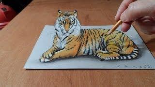 Drawing  3D Tiger - How to Draw a Tiger  - Trick Art on Paper - By Vamos