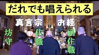 【真言宗お経】仏前勤行次第〜住職/副住職/坊守による読経 高野山真言宗紫雲寺本堂にて