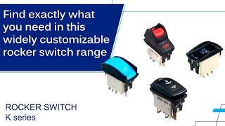 Widely Customizable Rocker Switches for Harsh Environments | APEM