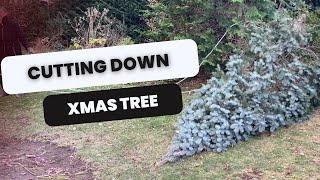  We Cut Down our own Christmas Tree 