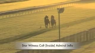 Star Witness - Admiral Jello