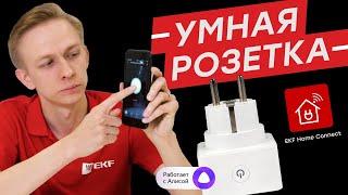 Умная розетка EKF. Подключаем за 1 минуту