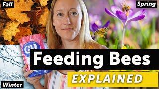 FEEDING BEES EXPLAINED - Spring, Summer, Fall, Winter & Dearths