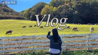 [평창 여행 VLOG] 평창으로 1박2일 여행간 직장인 브이로그, 대관령 하늘 목장 평창 포토 스팟 라마다 호텔 조식,해와비,황태명가,루루베이커리 한국 평창 국내여행지 평창여행코스