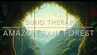 Discover the Healing Power of Nature’s Symphony: Amazon Rainforest White Noise for Stress Relief