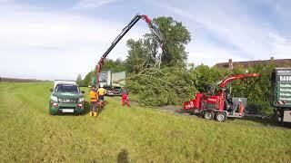 Nix ist unmöglich!Riesen Esche in 3h.Baumfällung extrem.Bäume sind unser Geschäft!FÄLLKRAN-LKW !