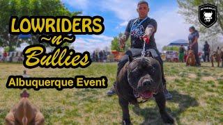 LOWRIDERS N BULLIES Albuquerque AMERICAN BULLY Event - RECAP | BIG TYME EVENTZ
