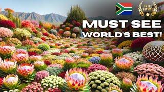 World's Best Flower Show - Now in South Africa!