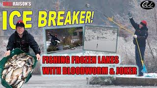 Fishing Frozen Lakes With Bloodworm & Joker | Will Raison Fishing Episode 12