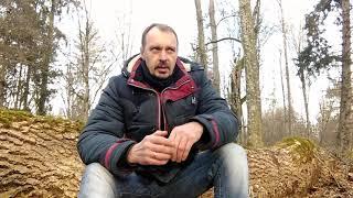 Ментальная магия жизни.