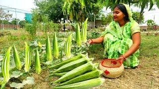 सुबह सुबह काम निपटाने के बाद अगर भिंडी का स्वादिस्ट भरवा खाने को मिल जाता है तो दिल खुश हो जाता है