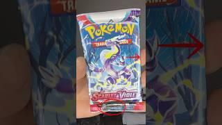 SCARLET VIOLET BASE🫣 MAGIKARP? POKEMON CARDS !!! #shorts #pokemon