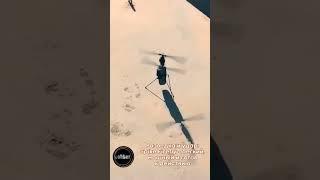 Разведка и удар Spike Firefly – легкий, мощный и готов к действию