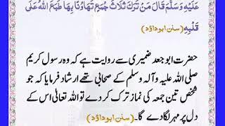 Daily Quran and Hadith