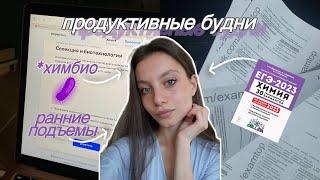 мои ПРОДУКТИВНЫЕ будни  | подготовка к егэ | STUDY VLOG